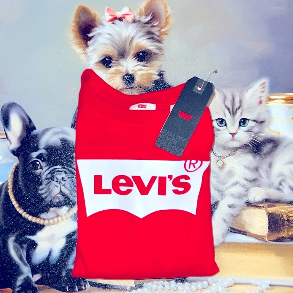 $10 Sale Levi's Fleece Sweatshirt Small